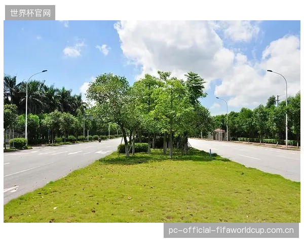 广州大学城攀岩场启动零碳改造，将能耗监测与适老化关怀系统并轨，探索绿色场馆的可持续运营模式